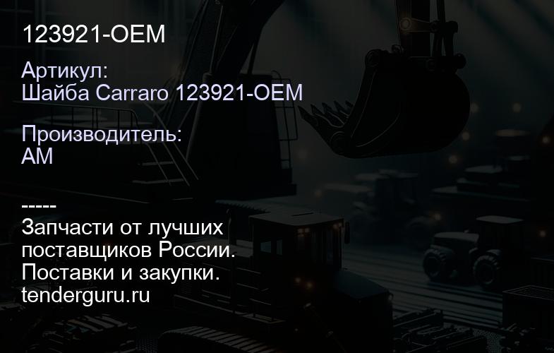 Шайба Carraro 123921-OEM 123921-OEM | купить запчасти